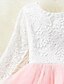 cheap Toddler Girls&#039; Dresses-Girls&#039; Pink Lace Tulle Tiered Princess Dress