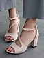 cheap Sandals-Classic Suede Block Heel Sandals with Ankle Strap