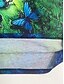 abordables Super Sale-Mujer Camiseta Graphic Mariposa Diario Fin de semana Estampado Azul Piscina Manga Corta Básico Escote Redondo