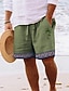 cheap Shorts-Men's Summer Beach Shorts with 3D Coconut Tree Print