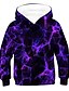 cheap Boys&#039; Hoodies &amp; Sweatshirts-Boys&#039; Long Sleeve Illusion Hoodie Sweatshirt 2 12 yrs