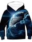 billige Hættetrøjer og sweatshirts til drenge-Drenge 3D Galakse Hattetrøje Langærmet 3D-udskrivning Efterår Vinter Aktiv Basale Polyester Rayon Børn 2-12 år udendørs Daglig Indendørs
