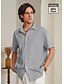 abordables Linen Shirts-Men&#039;s Linen Shirt Button Down Black