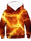 billige Hættetrøjer og sweatshirts til drenge-Børn Drenge Hættetrøje og sweatshirt Langærmet 3D Snørelukning Lilla Børn Toppe Aktiv Basale Barnet&#039;s Dag
