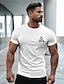 cheap Short Sleeve-100% Cotton Short Sleeve T shirt