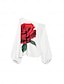 cheap Designer Sets-Women&#039;s Puff Sleeve Flowers Two-piece Set