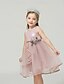 baratos Vestidos para Bebês-Infantil Pouco Vestido Para Meninas Flor Festa Aniversário Diário Vestido Swing Renda Frufru Com Transparência Verde Branco Rosa Sem Manga Estilo bonito Princesa Doce Vestidos Primavera Verão 2-6 Anos