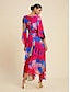 economico Print Dresses-Chiffon Floral V Neck Maxi Dress