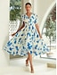 abordables Print Dresses-Halo Dyeing Chiffon Elastic Waist Midi Dress