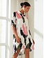 abordables Print Dresses-Graphic Print Shirt Dress