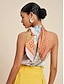 cheap Tank Tops &amp; Camis-Satin Colorful Silk Scarf Print Stand Collar Tie Sleeveless Top