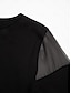 abordables Two Piece Sets-camisa de gasa modal con mangas ilusión y cuello redondo