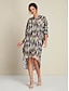 economico Print Dresses-Leopard V Neck Rayon Midi Dress