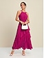 abordables Robes Soirée-Sleeveless Chiffon Ruffle Maxi Dress