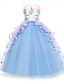 abordables Robes pour Filles-robe pour fille enfant couleur unie arc-en-ciel sans manches fête douce polyester maxi tulle robe été printemps 3-12 ans rose clair blanc ivoire