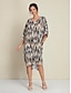 cheap Print Dresses-Leopard V Neck Midi Dress