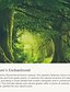 abordables Tapices de pared-Tapiz colgante de bosque brumoso, naturaleza mágica, árbol verde, paisaje de selva tropical, arte de pared, tapiz grande, decoración mural, fotografía, telón de fondo, manta, cortina, decoración del