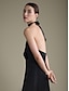 abordables Vestidos de Nochevieja-Ruffle Halter Tie Back Elegant Party Dress