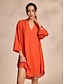 abordables Robes Décontracté-Drop Shoulder V Neck Chiffon Mini Dress