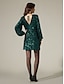 cheap Party Dresses-Sequin Tie Back Dark Green Elegant Mini Dress