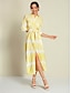 economico Print Dresses-Satin Collar Lines Maxi Dress