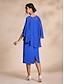 preiswerte Casual Kleider-Round Sleeve Chiffon Midi Dress 2 Piece