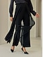 economico Pants-Chiffon Full Length Elegant Casual Daily Pants