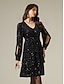 abordables Vestidos de Nochevieja-Split Sequin Long Sleeve Mini Dress