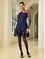 baratos Vestidos de Renda-Sequin Embroidered Tulle Mini Dress