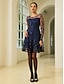 baratos Vestidos de Renda-Sequin Embroidered Tulle Mini Dress