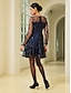 baratos Vestidos de Renda-Sequin Embroidered Tulle Mini Dress