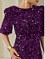 cheap Party Dresses-Velour Sequin Puff Sleeve Sparkly Elegant Maxi Dress