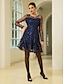 abordables Vestidos de Nochevieja-Sequin Embroidered Tulle Mini Dress