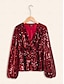 abordables blouses-Sequin Lantern Sleeve V Neck Blouse