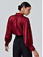 cheap Blouses-Satin Solid Lantern Sleeve Tie Front Blouse