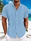 abordables Linen Shirts-Hombre Camisa camisa de lino Camisa Guayabera Camisa con cuello mao Camisa de verano Ropa de playa Plano Vacaciones Maldición Negro Blanco Azul Piscina Verde Manga Corta Cuello Verano Ropa