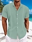 abordables Linen Shirts-Hombre Camisa camisa de lino Camisa Guayabera Camisa con cuello mao Camisa de verano Ropa de playa Plano Vacaciones Maldición Negro Blanco Azul Piscina Verde Manga Corta Cuello Verano Ropa
