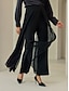 abordables pantalons et shorts-Chiffon Full Length Elegant Casual Daily Pants