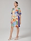 economico Vestiti mini-Straight V Neck Floral Mini Dress