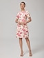 cheap Mini Dresses-Stretch Flamingo Print Mini Dress
