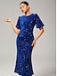 cheap Party Dresses-Velour Sequin Puff Sleeve Sparkly Elegant Maxi Dress