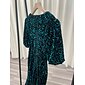 Velour Sequin Puff Sleeve Sparkly Elegant Maxi Dress